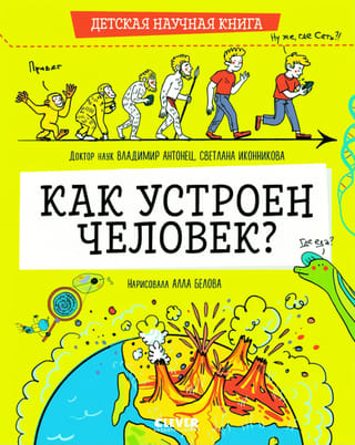 Как устроен человек?