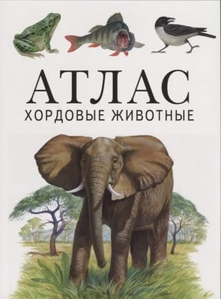 Хордовые животные. Атлас