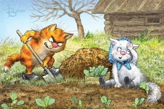 Открытка. Синие коты. Посев