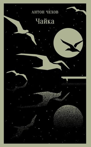 Чайка