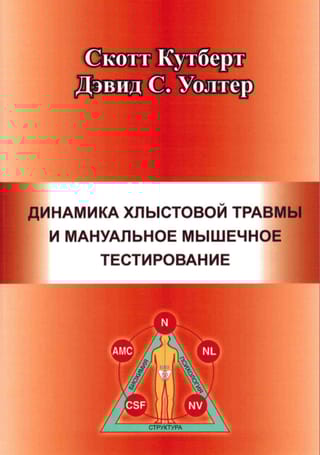 Динамика хлыстовой травмы и мануальное мышечное тестирование