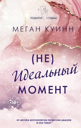 Неидеальный момент