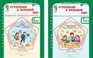 Ступеньки в большой мир. 1 класс. Рабочая тетрадь в 2 частях