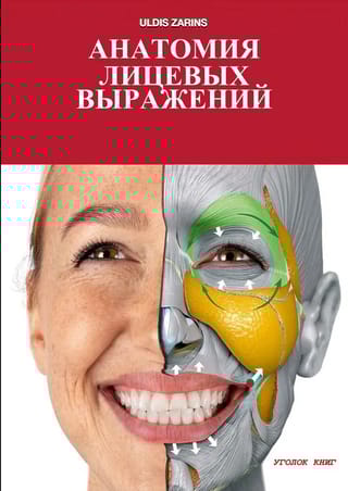 Анатомия лицевых выражений