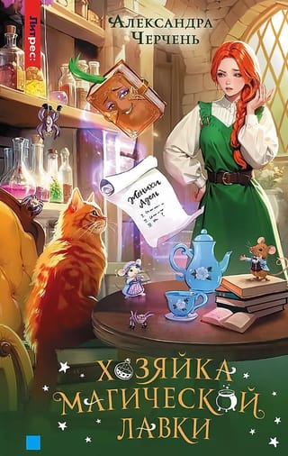 Хозяйка магической лавки