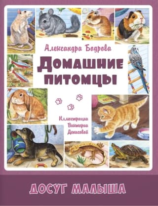 Домашние питомцы