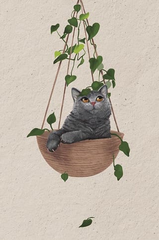 Открытка. Котик в подвесном горшке