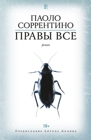 Правы все