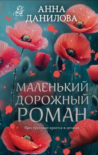 Маленький дорожный роман