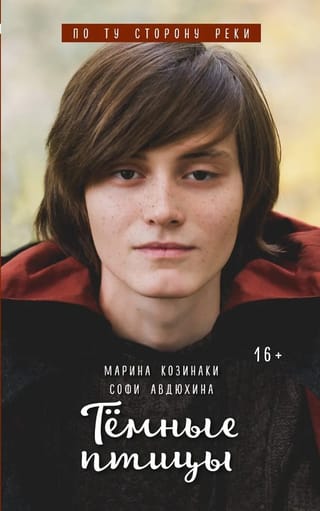 Тёмные птицы