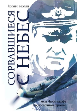 Сорвавшиеся с небес. Асы Люфтваффе на Восточном фронте