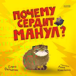 Почему сердит манул?