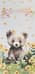 Конверт для денег. С Днем рождения! Медвежонок в цветах