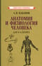 Анатомия и физиология человека для 8-го класса