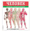 Человек. Полная энциклопедия
