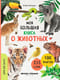 Моя большая книга о животных