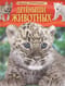 Детеныши животных. Детская энциклопедия