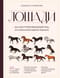 Лошади. Иллюстрированный гид по самым популярным породам