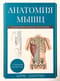 Анатомия мышц.  Иллюстрированный справочник