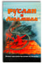 Руслан  и Людмила. Второй смысловой ряд поэмы А.С.Пушкина