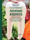 Естественное
  лечение кариеса. Реминерализация и восстановление зубов при помощи питания