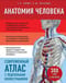 Анатомия человека. Современный атлас с подробными иллюстрациями