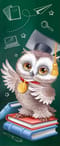 Магнитная закладка. Сова. Новых открытий!