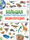 Большая иллюстрированная энциклопедия