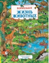 Жизнь животных. Виммельбух