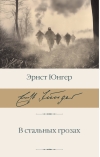 В стальных грозах