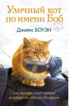 Уличный кот по имени Боб. Как человек и кот обрели надежду на улицах Лондона
