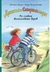 Детективы Северного моря. Книга 4. По следам велосипедных воров