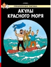 Акулы Красного моря