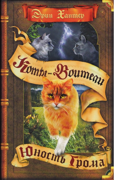 Начало племен. Книга 2. Юность Грома