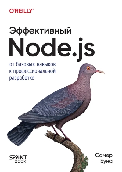Эффективный Node.js: От базовых навыков к профессиональной разработке