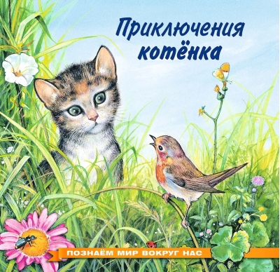 Познаем мир вокруг нас. Приключения котенка