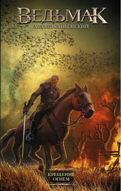 Ведьмак. Книга 5. Крещение огнем