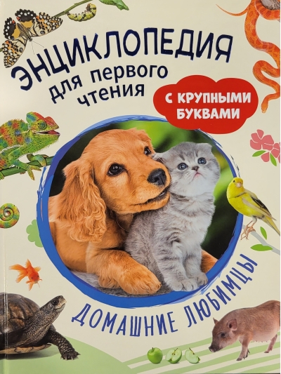 Домашние  любимцы. Энциклопедия для первого чтения с крупными буквами