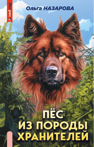 Пес из породы хранителей