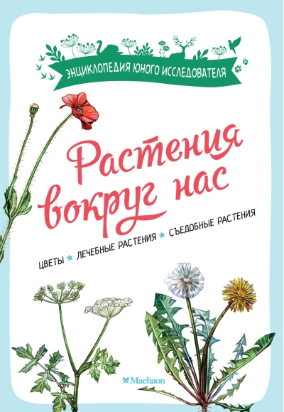Растения вокруг нас. Цветы. Лечебные растения. Съедобные растения