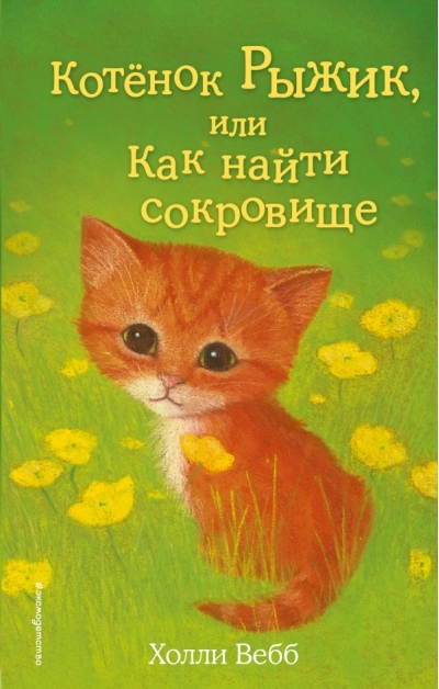 Котенок Рыжик, или Как найти сокровище