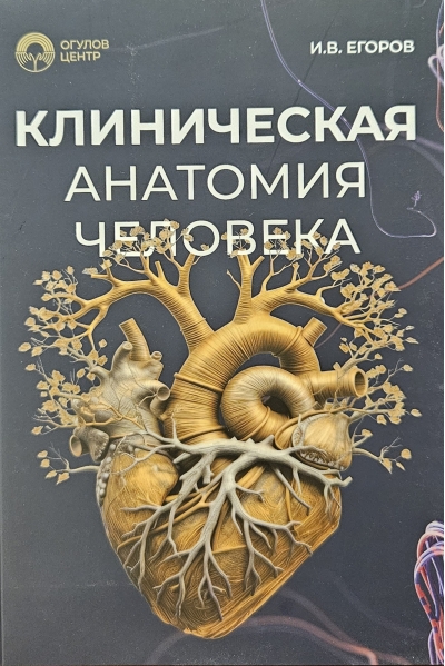 Клиническая анатомия человека