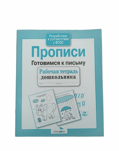Прописи. Готовимся к письму