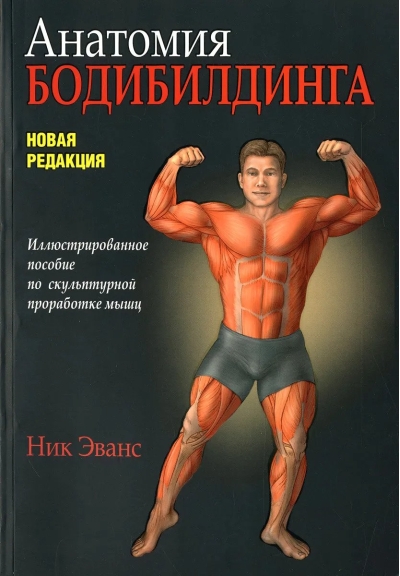 Анатомия  бодибилдинга