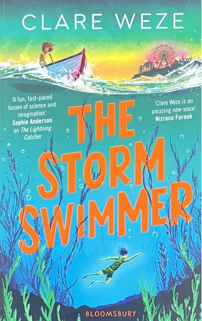 The Storm  Swimmer