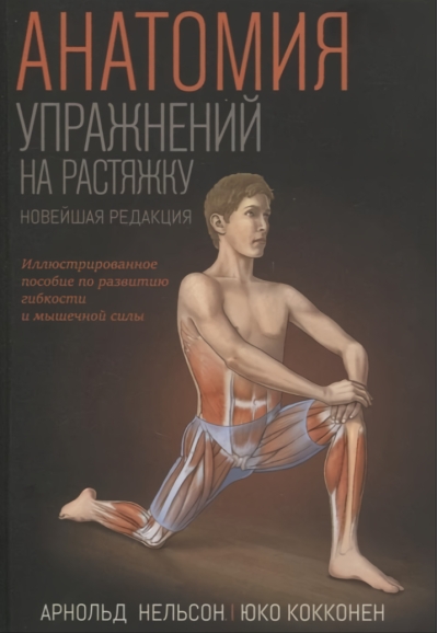 Анатомия упражнений на растяжку