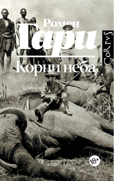 Корни неба