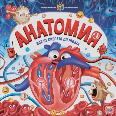 Анатомия
