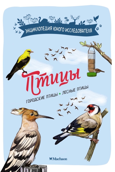 Птицы. Городские птицы. Лесные птицы