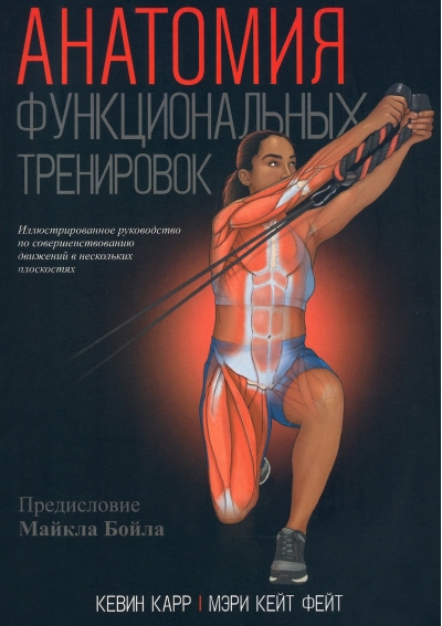 Анатомия  функциональных тренировок